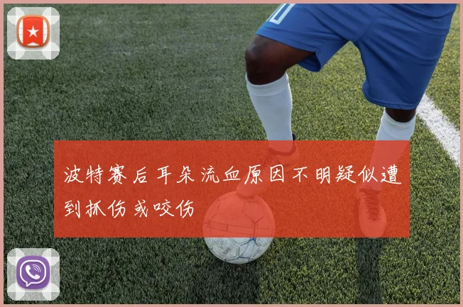 波特赛后耳朵流血原因不明疑似遭到抓伤或咬伤